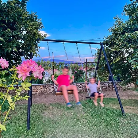 Alolli Pogradec