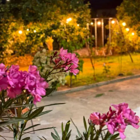 Alolli Apartament