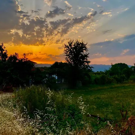 Alolli Pogradec