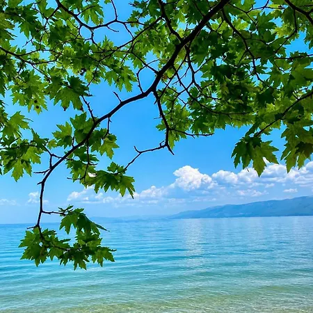 Alolli Apartament Pogradec